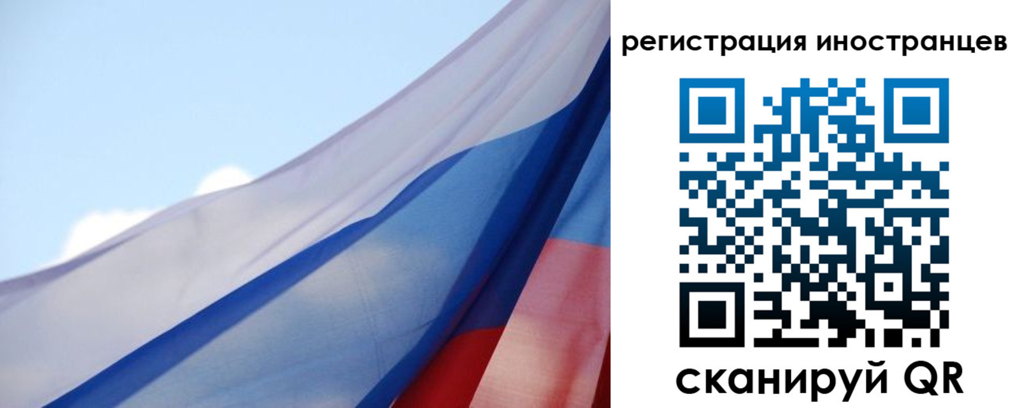 прописка поиск в Лысково